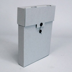 These Archival New Comic Bundle Box